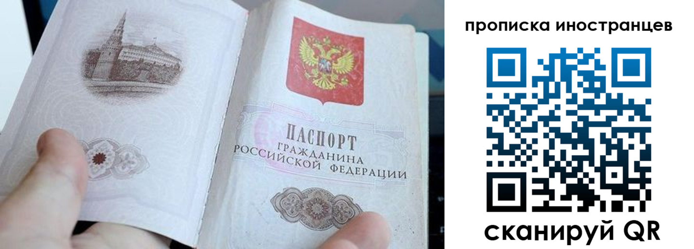 прописка поиск в Приморском крае